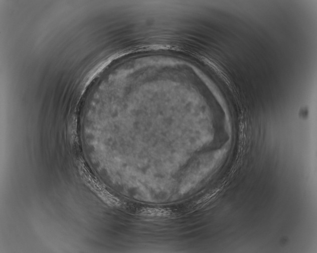 X0000115581023200912081021