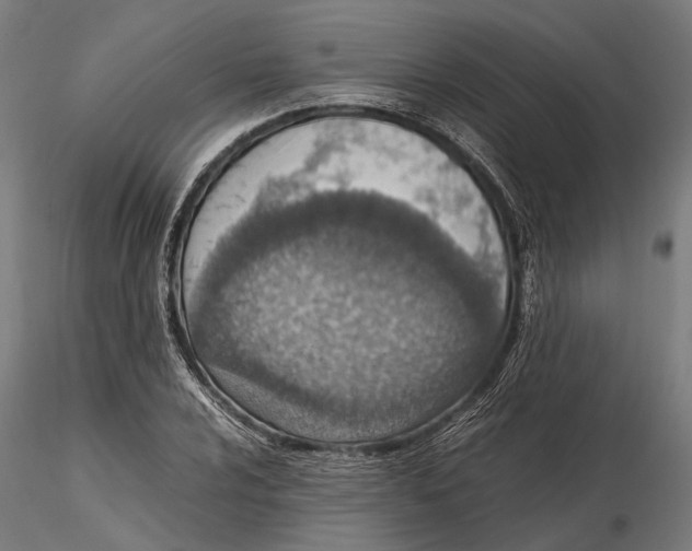 X0000115581024200912081021