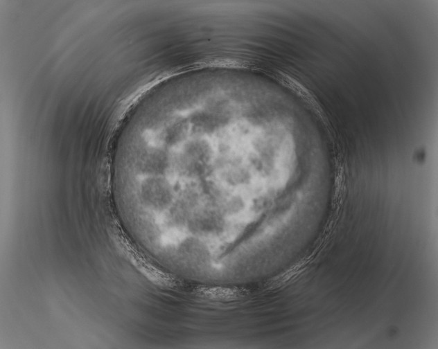 X0000115581027200912081021