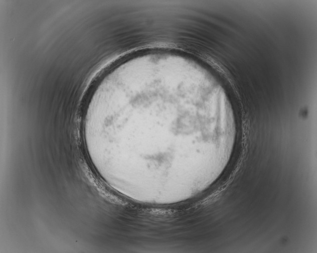 X0000115581029200912081021