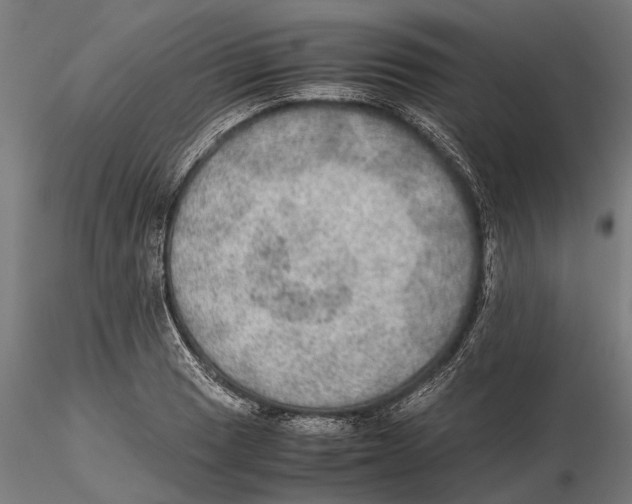 X0000115581033200912081021