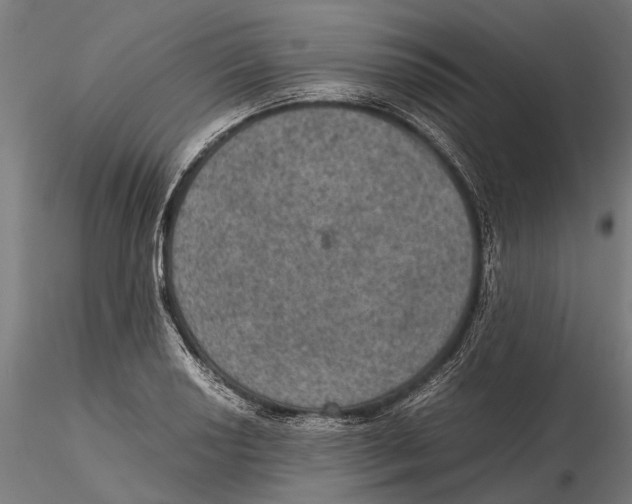 X0000115581034200912081021