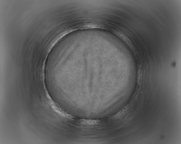 X0000115581039200912081021