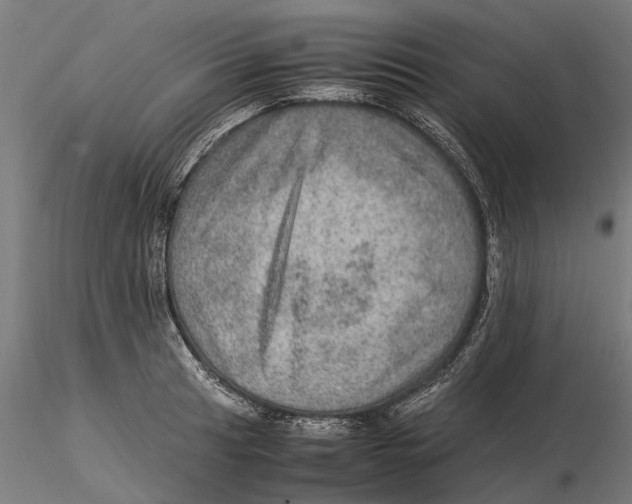 X0000115581041200912081021