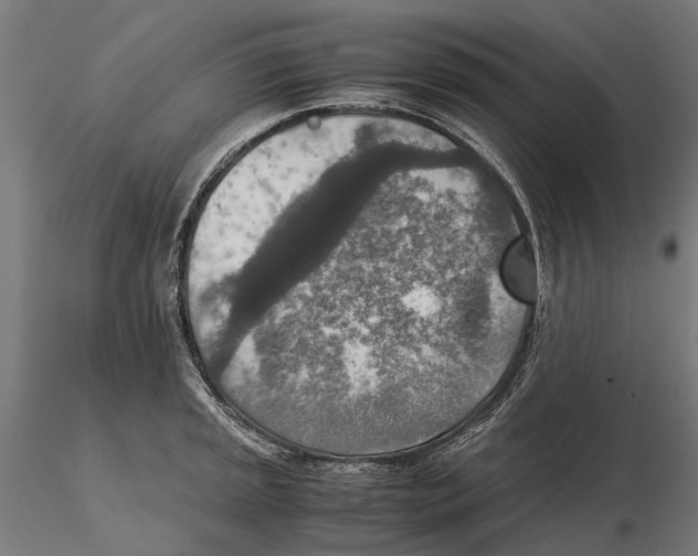 X0000115581045200912081021