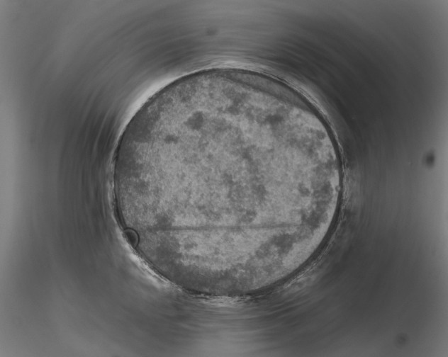 X0000115581048200912081021