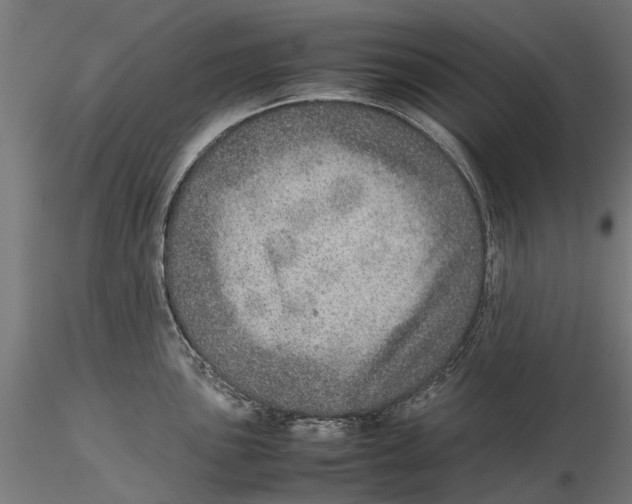 X0000115581051200912081021