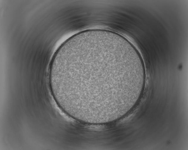 X0000115581053200912081021