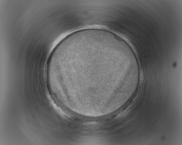 X0000115581054200912081021