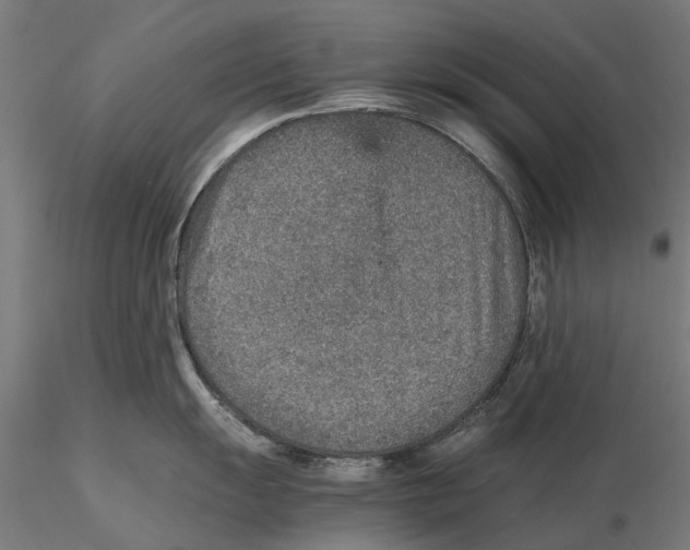 X0000115581055200912081021