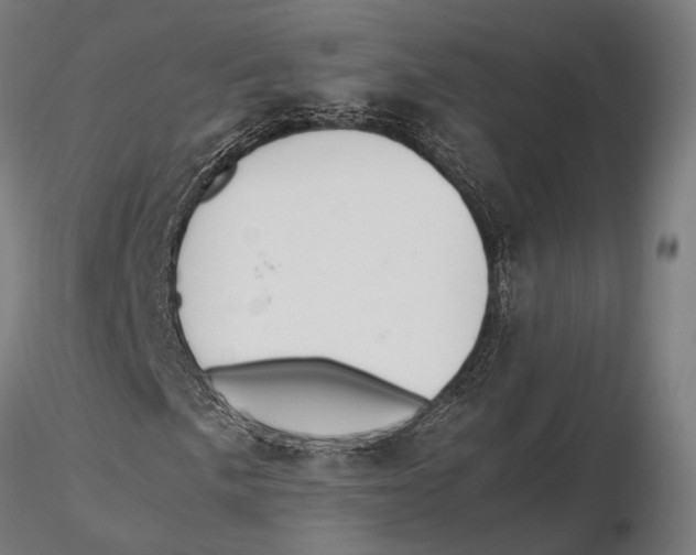 X0000115581057200912081021