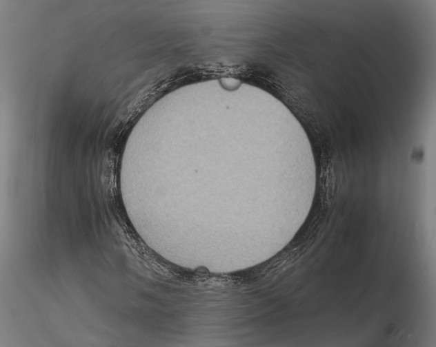 X0000115581058200912081021