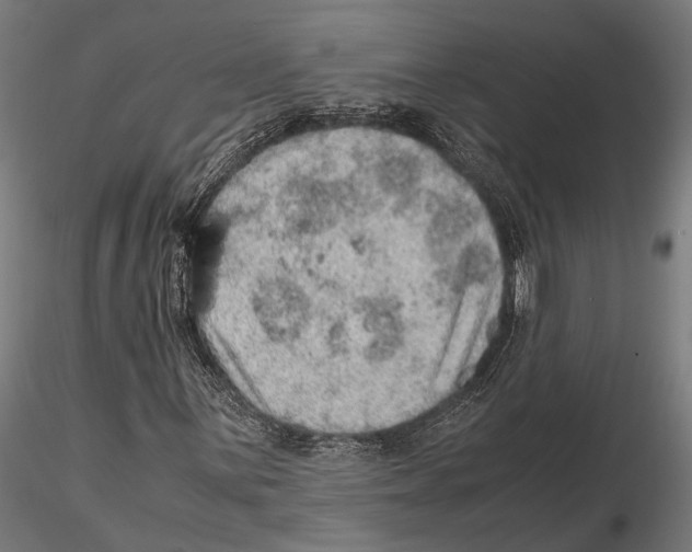 X0000115581059200912081021