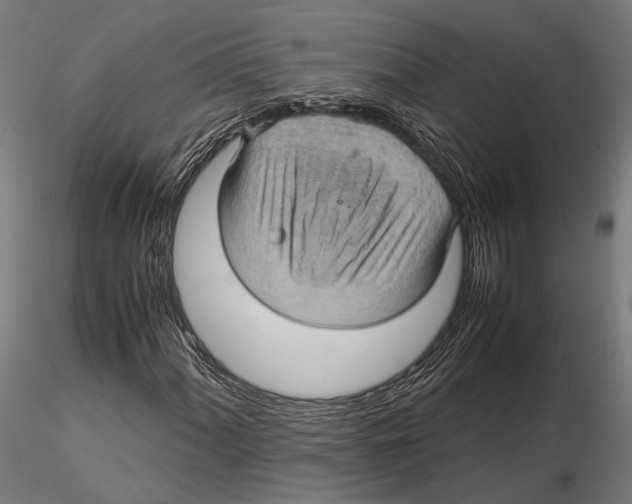 X0000115581060200912081021