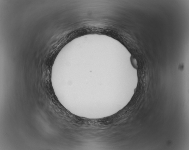 X0000115581061200912081021