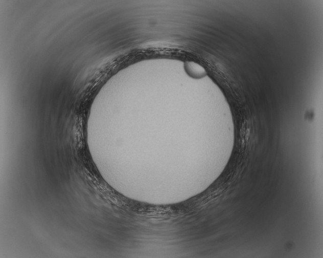 X0000115581062200912081021