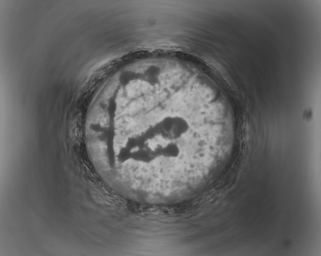 X0000115581063200912081021