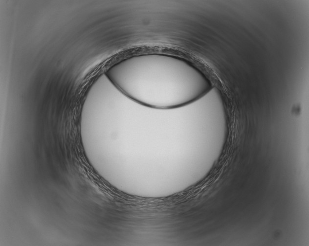 X0000115581064200912081021