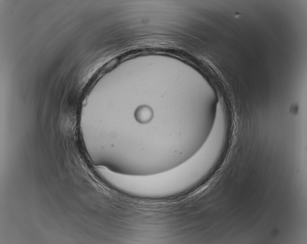 X0000115581065200912081020