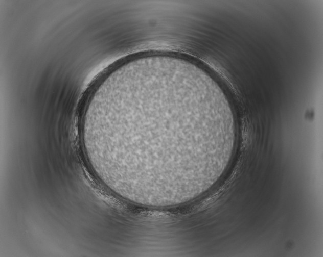 X0000115581070200912081020