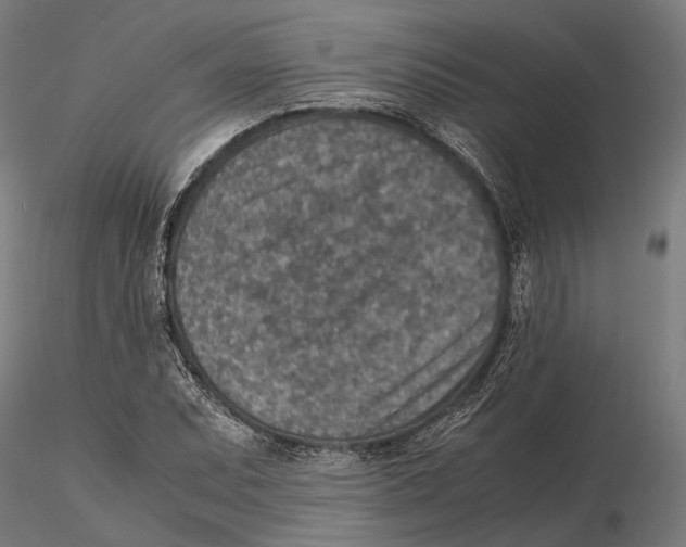 X0000115581071200912081020