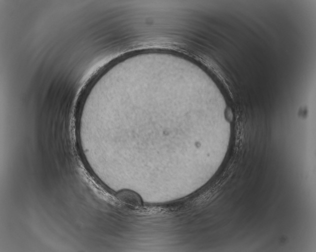 X0000115581072200912081020