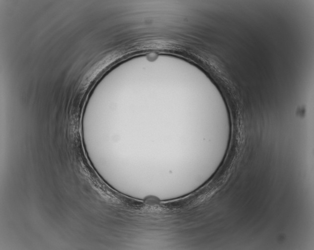 X0000115581073200912081020