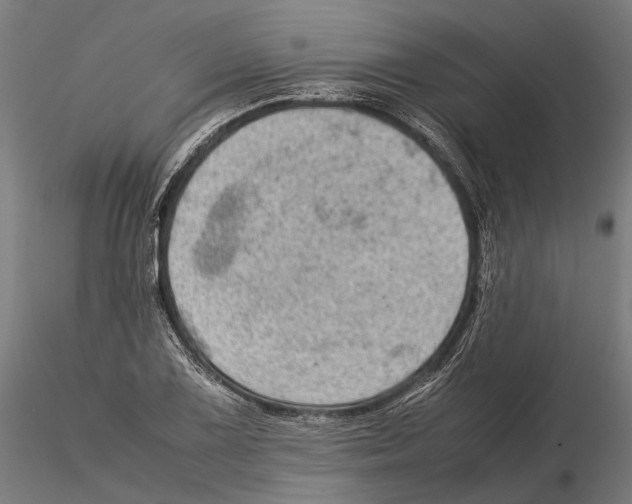 X0000115581075200912081020