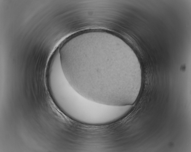 X0000115581076200912081020