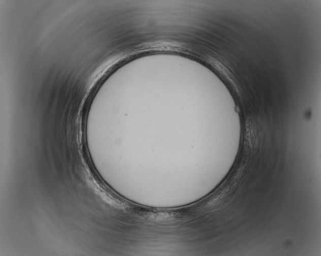 X0000115581082200912081020