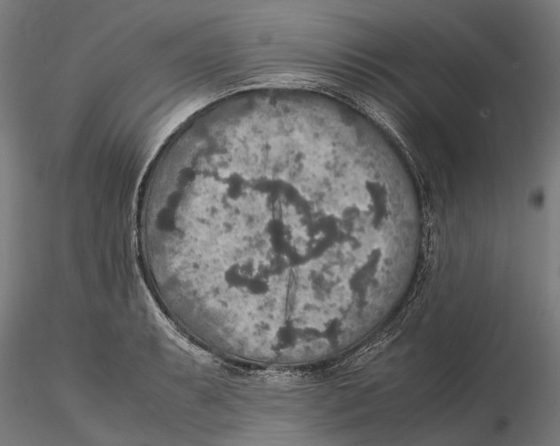 X0000115581087200912081020