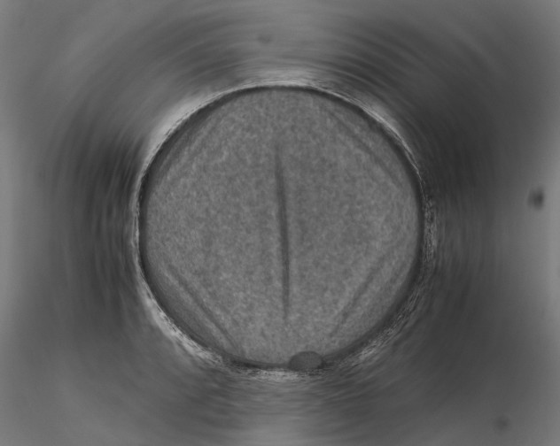 X0000115581088200912081020