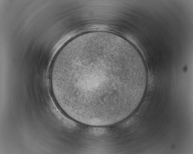 X0000115581090200912081020