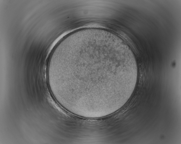 X0000115581092200912081020