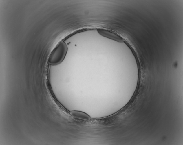 X0000115581093200912081020