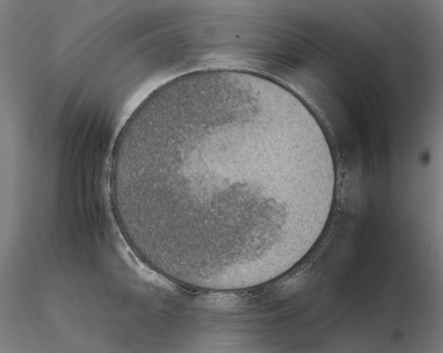 X0000115581094200912081020