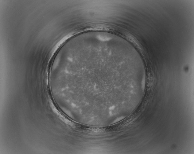 X0000115581095200912081020