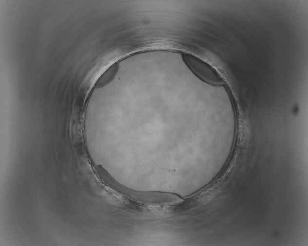 X0000115581097200912081020