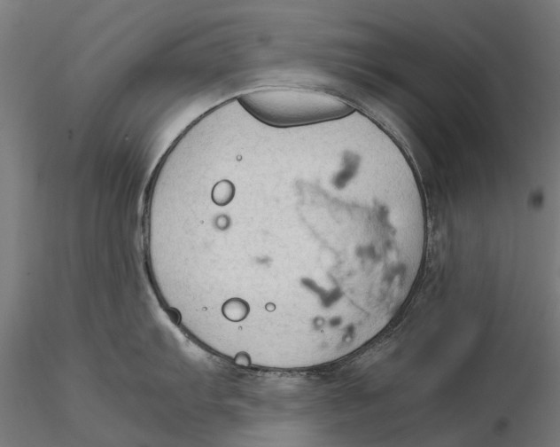 X0000115581103200912081020