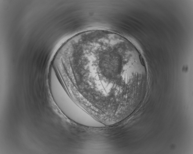 X0000115581104200912081020