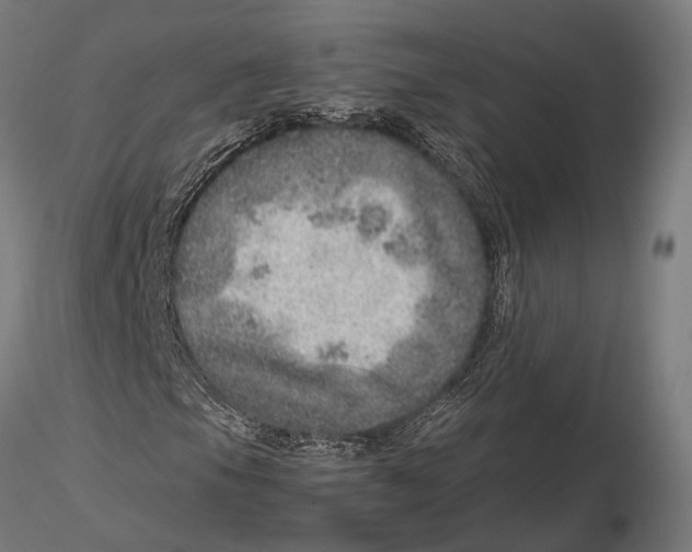 X0000115581105200912081019