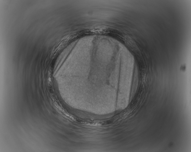 X0000115581106200912081019