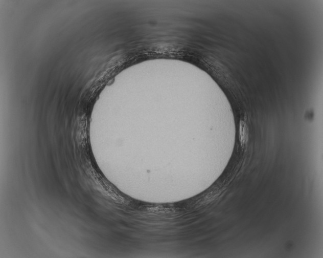 X0000115581107200912081019