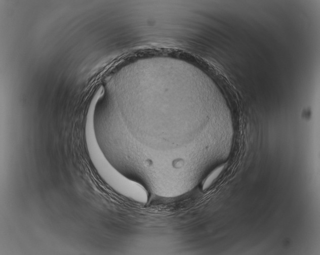 X0000115581110200912081019