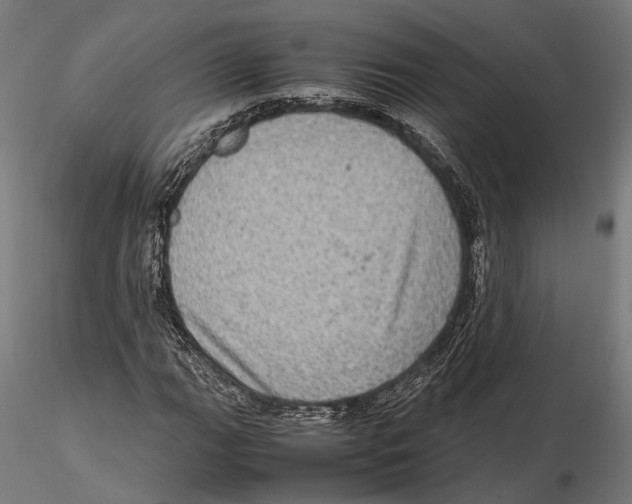 X0000115581111200912081019