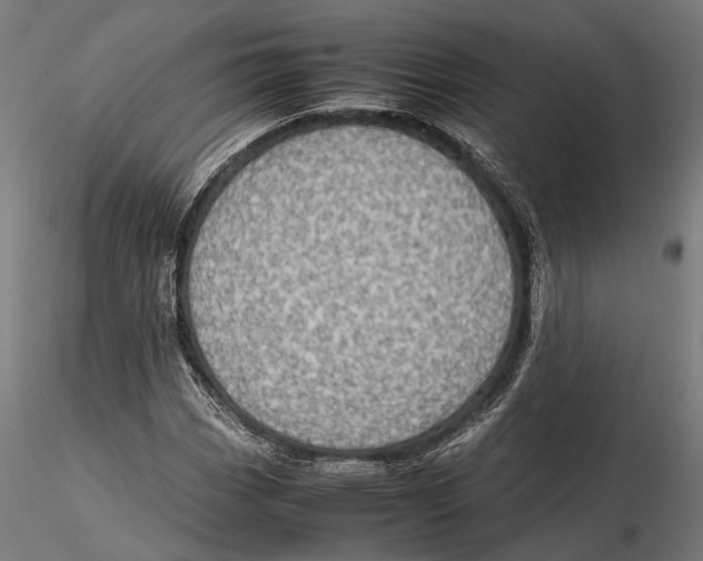 X0000115581113200912081019