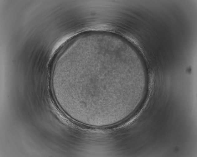 X0000115581114200912081019