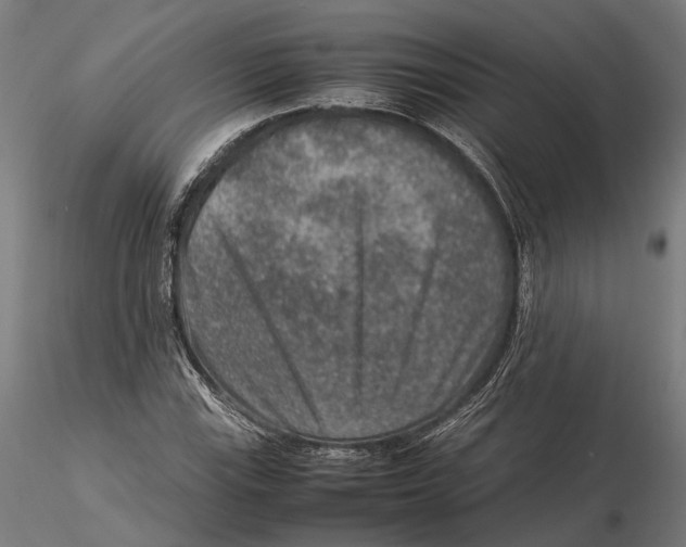 X0000115581115200912081019