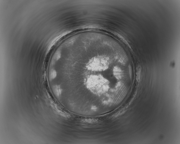 X0000115581117200912081019