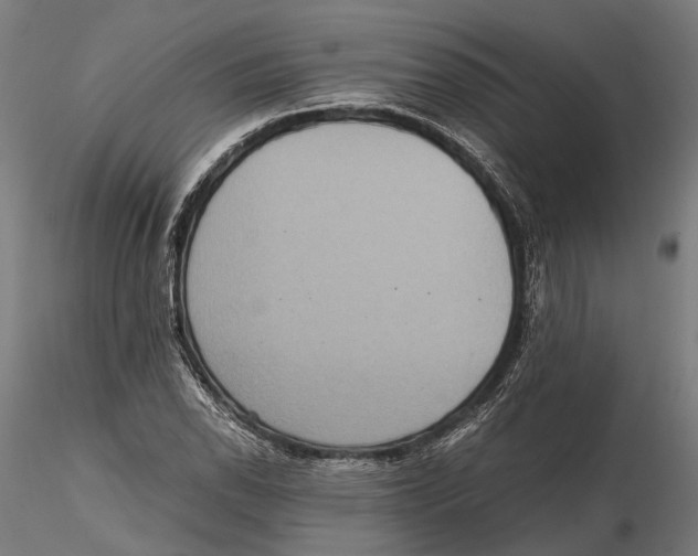 X0000115581118200912081019